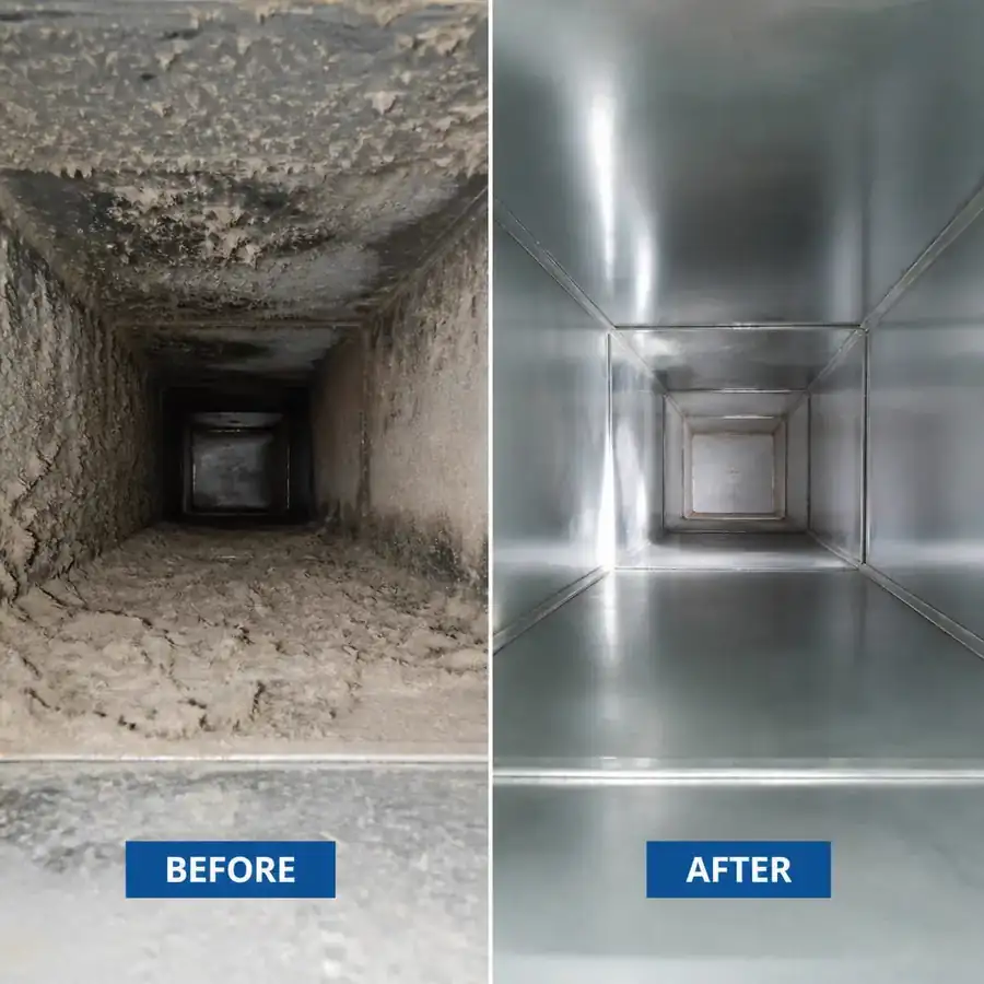 Whole-Home Air Duct Cleaning before and after — Supply trunk line — 12 years without service, Tampa, FL