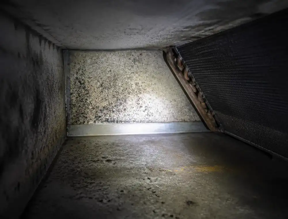 Mold Prevention by a Pure Breeze technician
